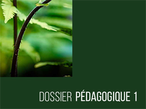 Dossier pédagogique 1