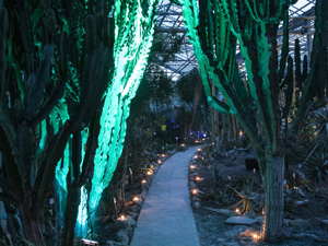 Botanic night