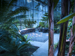 Botanic night