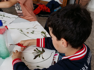 Stage : Les sciences se mettent au vert…