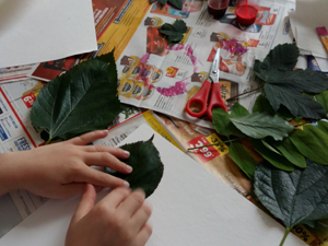 De l’œuf à la poule, de la graine à la plante !